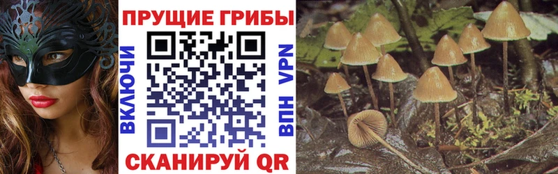 Галлюциногенные грибы мухоморы  Купить где  Мещовск 